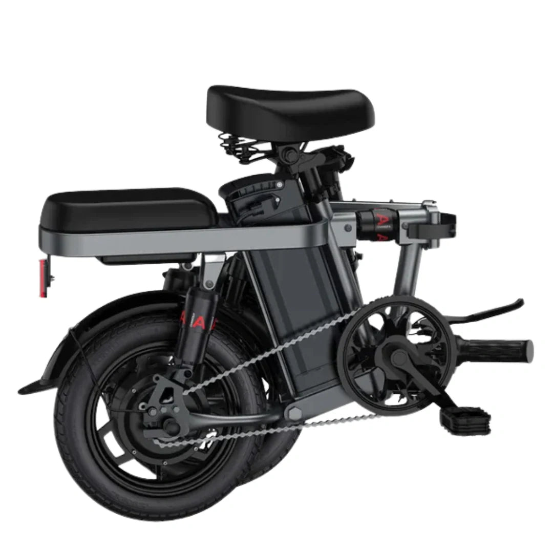 Compact Folding Electric Bike with 250W Motor and 48V 10Ah Battery