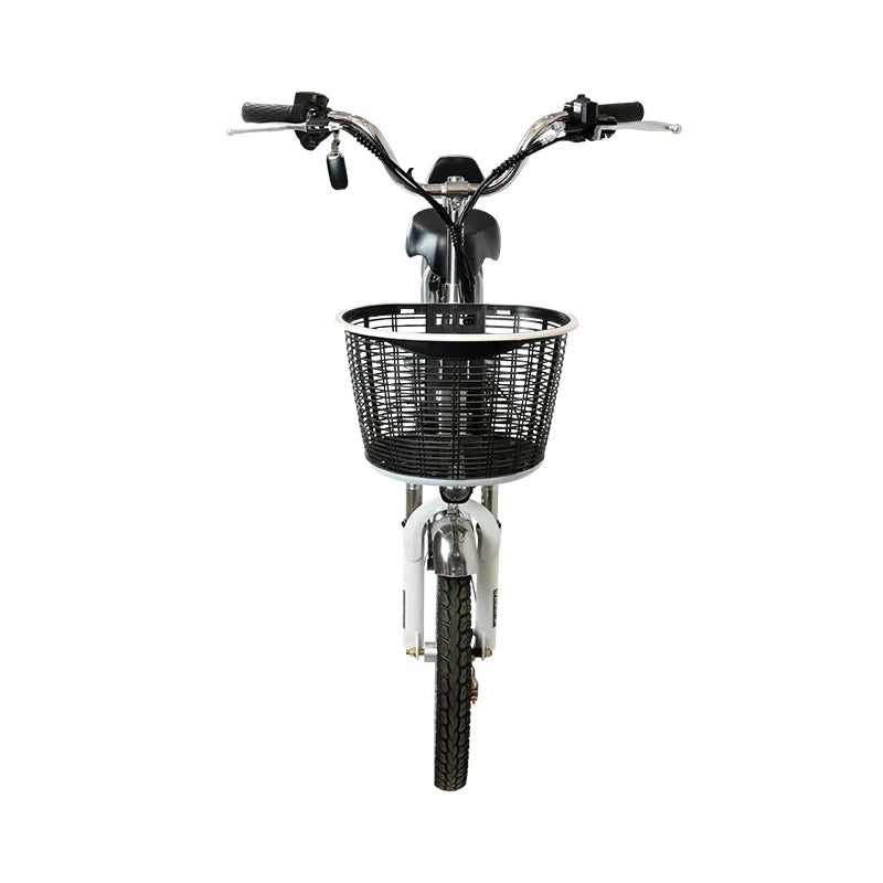 Lightweight Electric Bike with 350W Motor, 48V Battery, and Dual Seat