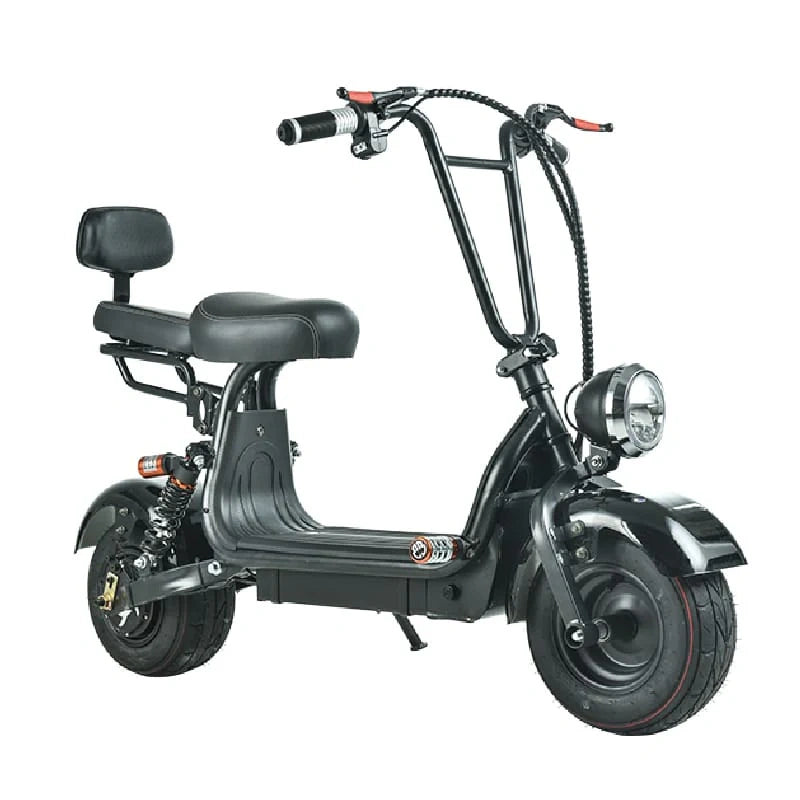 Compact Fat Tyre Electric Scooter with Removable Battery