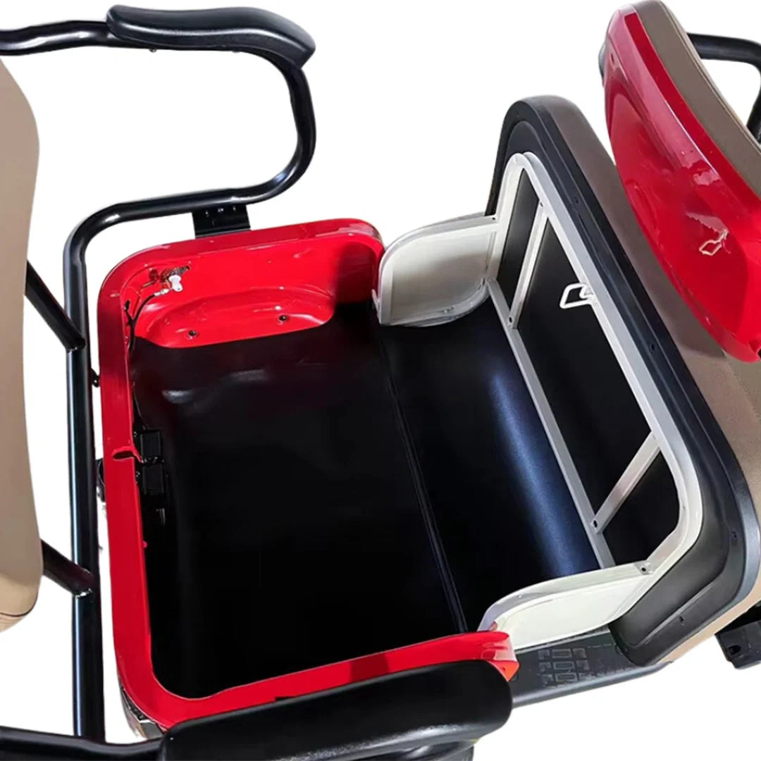 Enclosed 3-Passenger Electric Tricycle with Roof and 1500W Motor