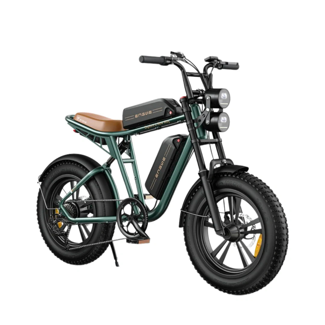 Electric Fat Tire Bike with 750W Motor and 20x4.0 Inch All-Terrain Tires
