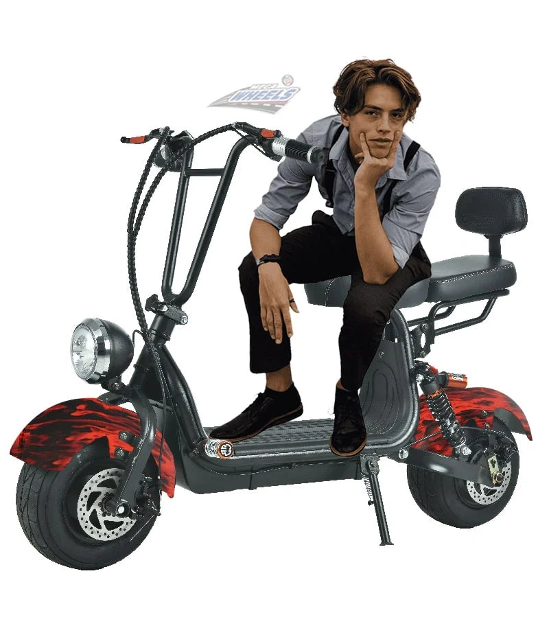 Compact Fat Tyre Electric Scooter with Removable Battery