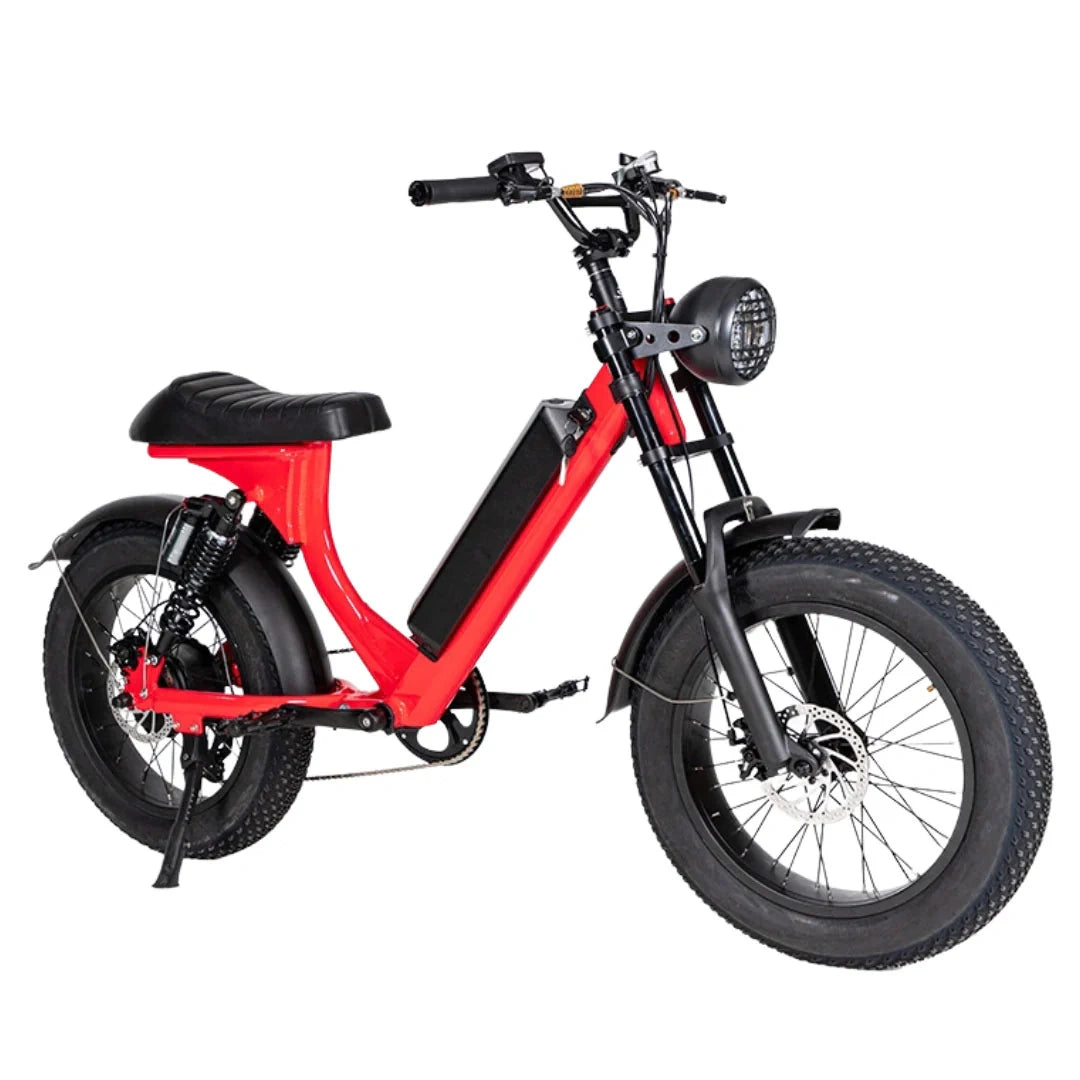 Retro Fat Tire Electric Bike with 500W Motor and 48V Removable Battery