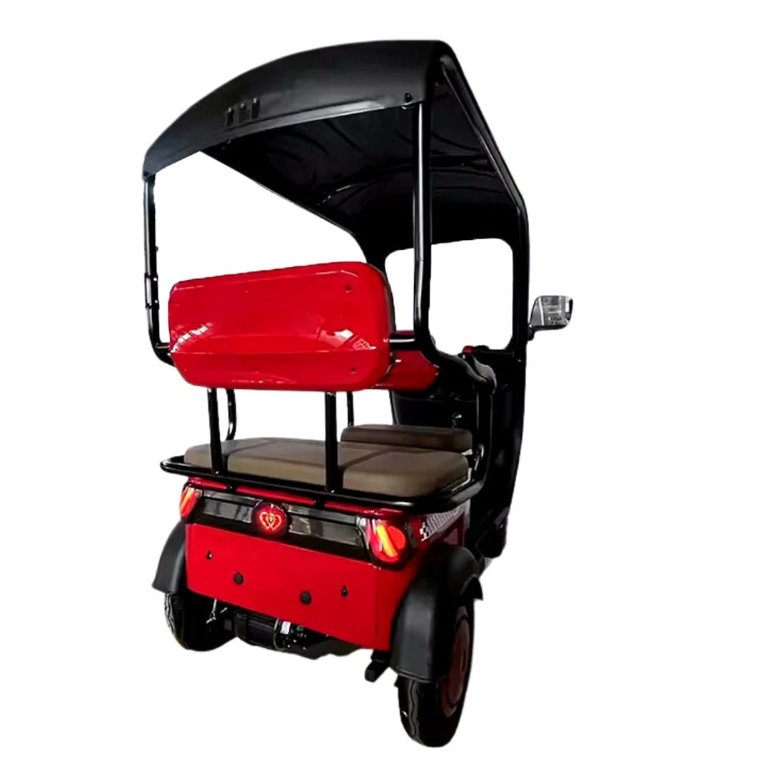 Enclosed 3-Passenger Electric Tricycle with Roof and 1500W Motor