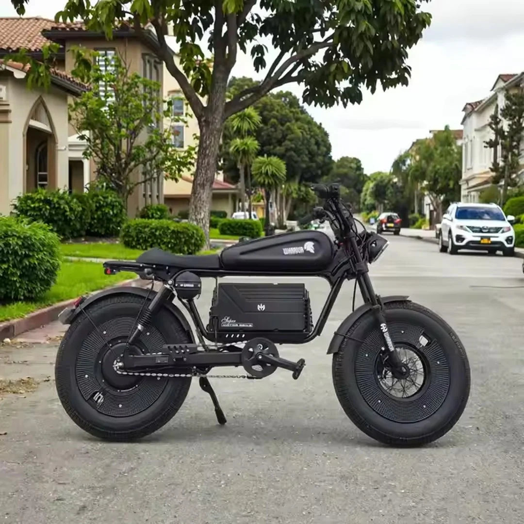 Fat Tire Electric Chopper Bike with 1000W Motor and Removable Battery