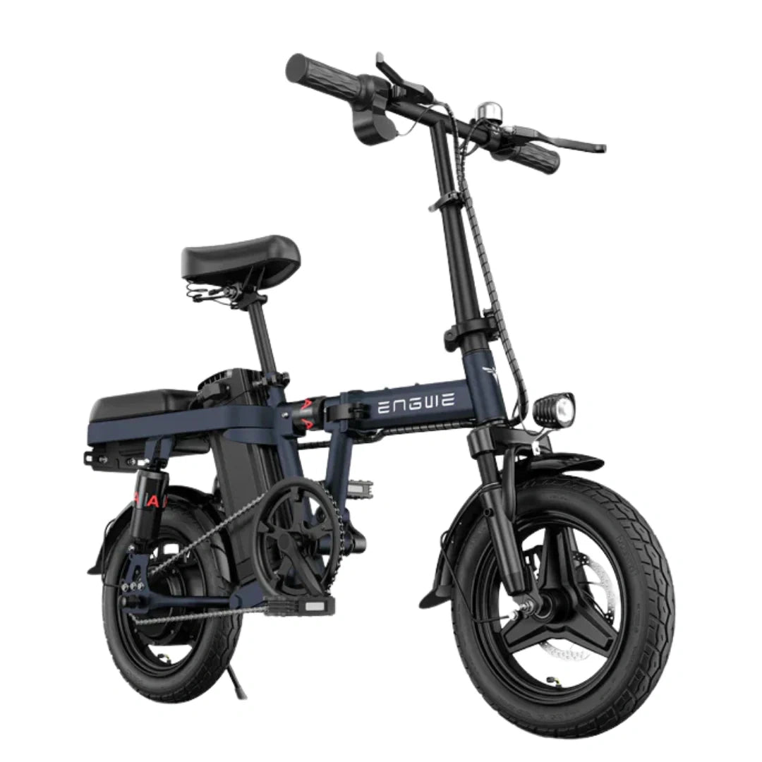 Compact Folding Electric Bike with 250W Motor and 48V 10Ah Battery
