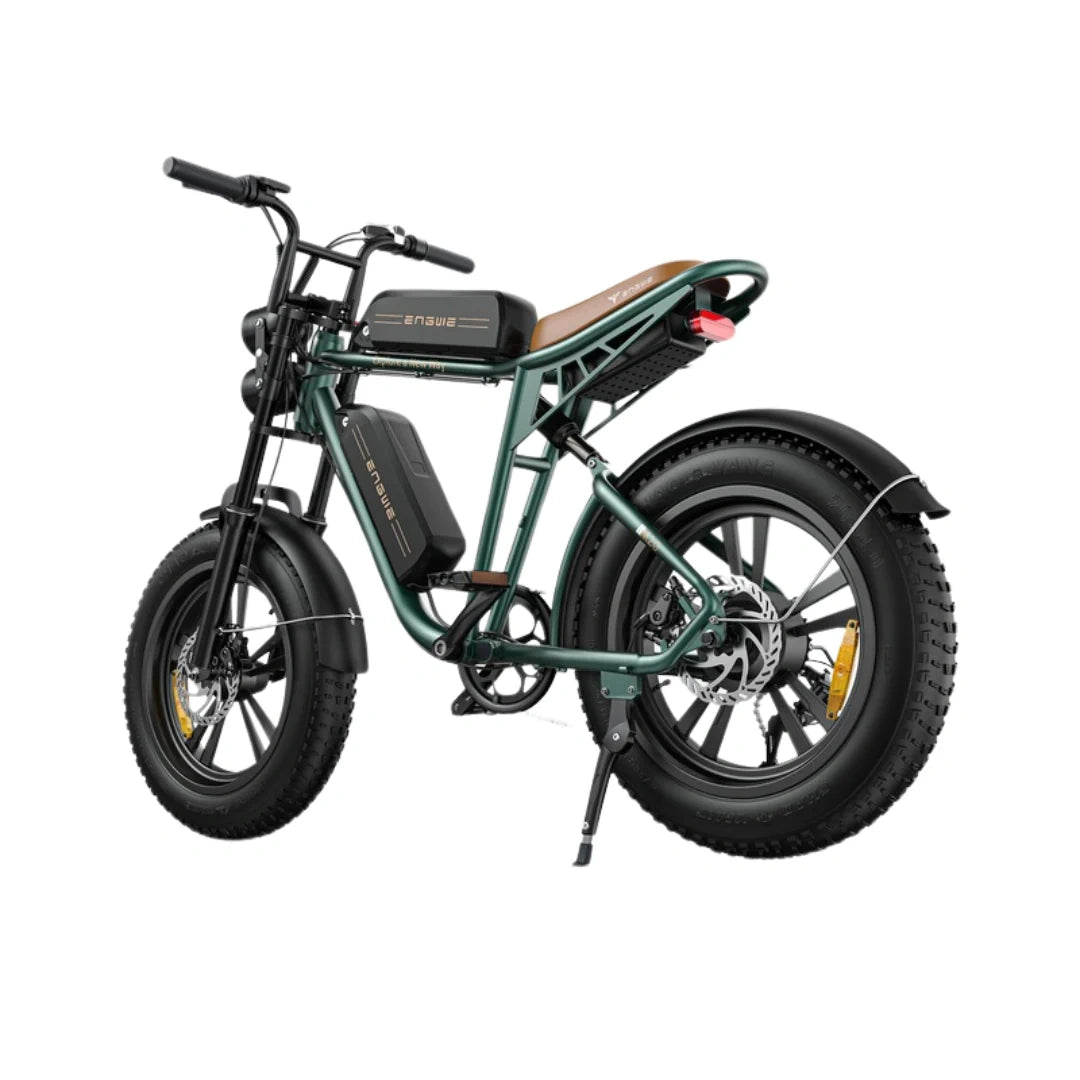 Electric Fat Tire Bike with 750W Motor and 20x4.0 Inch All-Terrain Tires