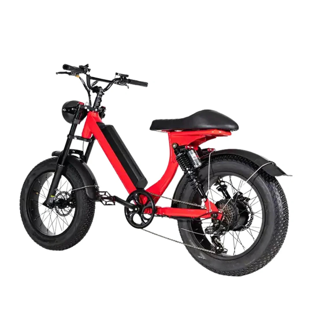 Retro Fat Tire Electric Bike with 500W Motor and 48V Removable Battery