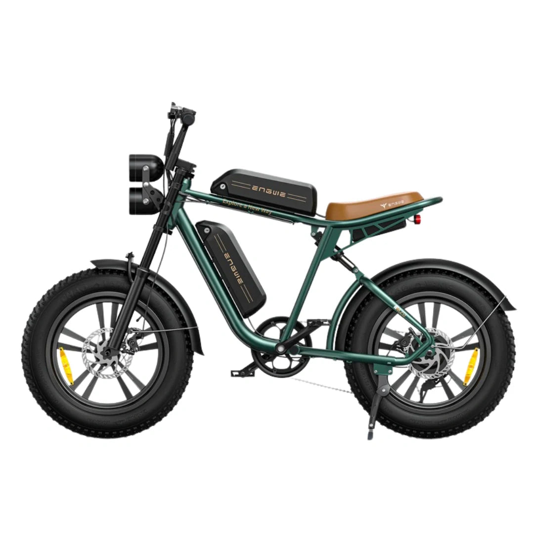 Electric Fat Tire Bike with 750W Motor and 20x4.0 Inch All-Terrain Tires