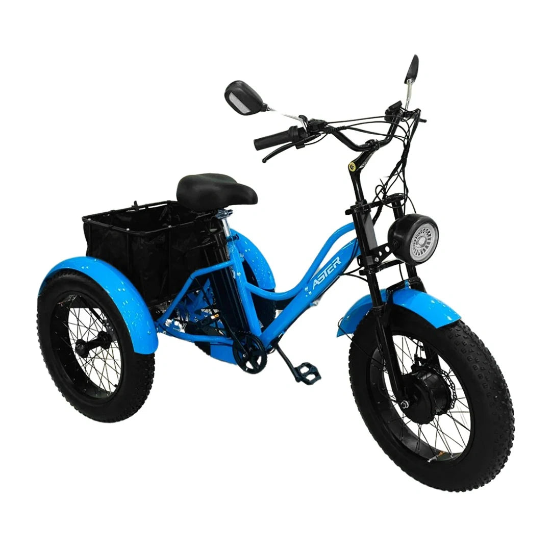 Electric Cargo Trike with Fat Tires and 300kg Load Capacity