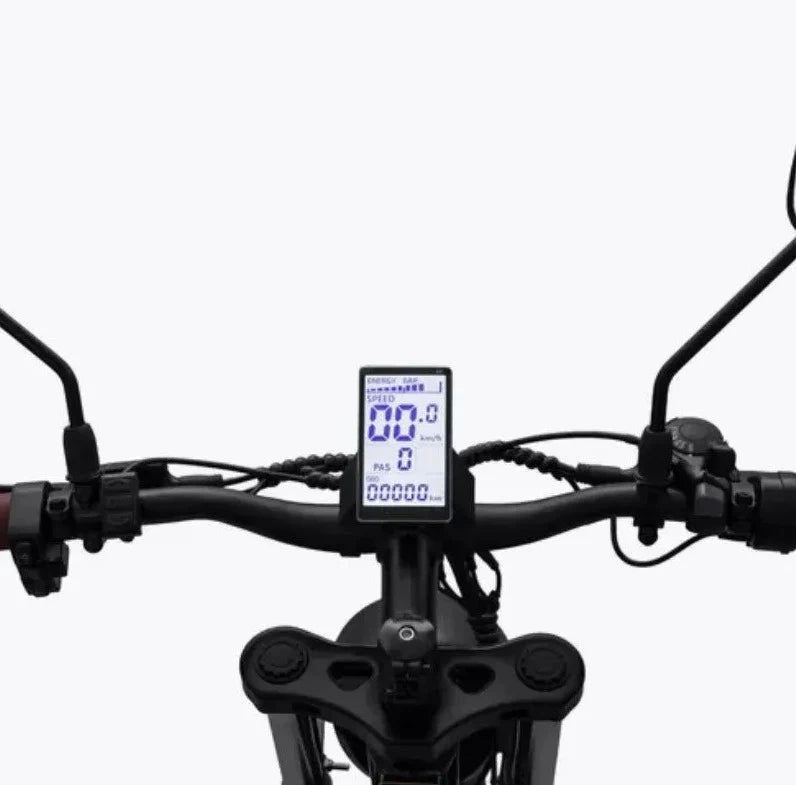 Harley-Style Fat Tire Electric Bike with Dual 1000W Motor and 48V Battery