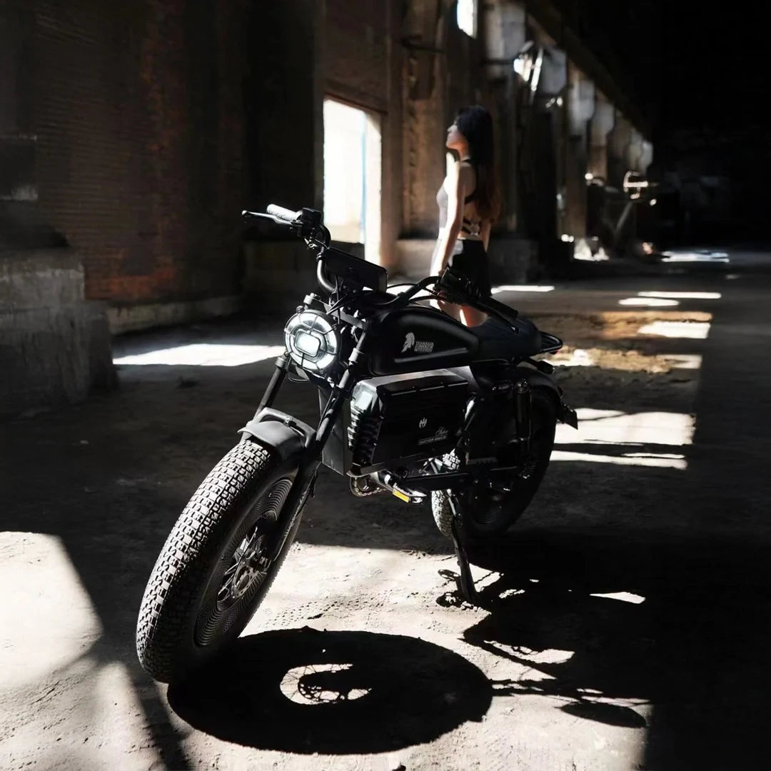 Fat Tire Electric Chopper Bike with 1000W Motor and Removable Battery