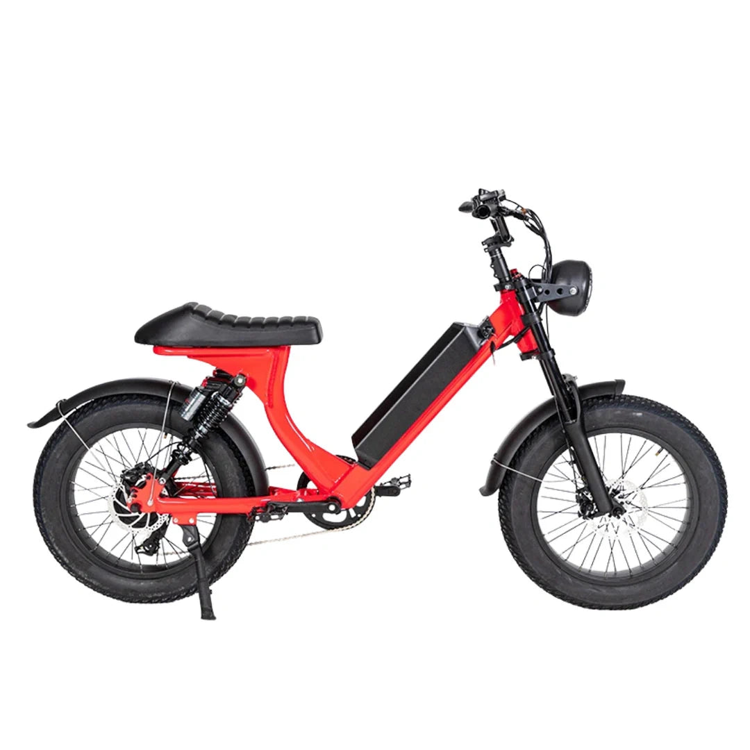 Retro Fat Tire Electric Bike with 500W Motor and 48V Removable Battery