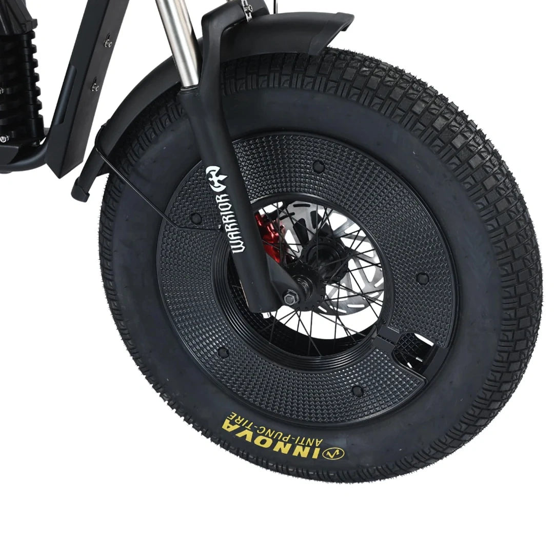 Fat Tire Electric Chopper Bike with 1000W Motor and Removable Battery