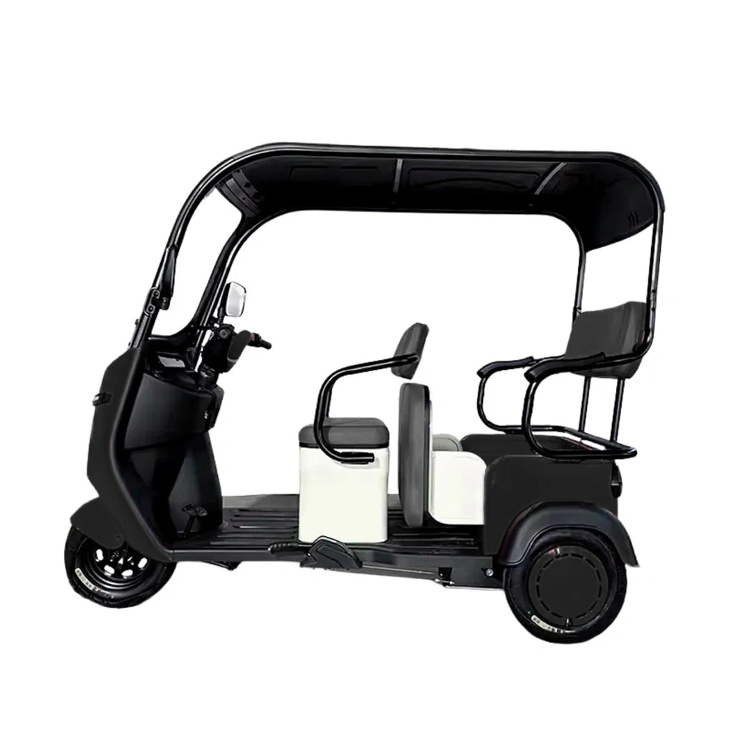 Enclosed 3-Passenger Electric Tricycle with Roof and 1500W Motor