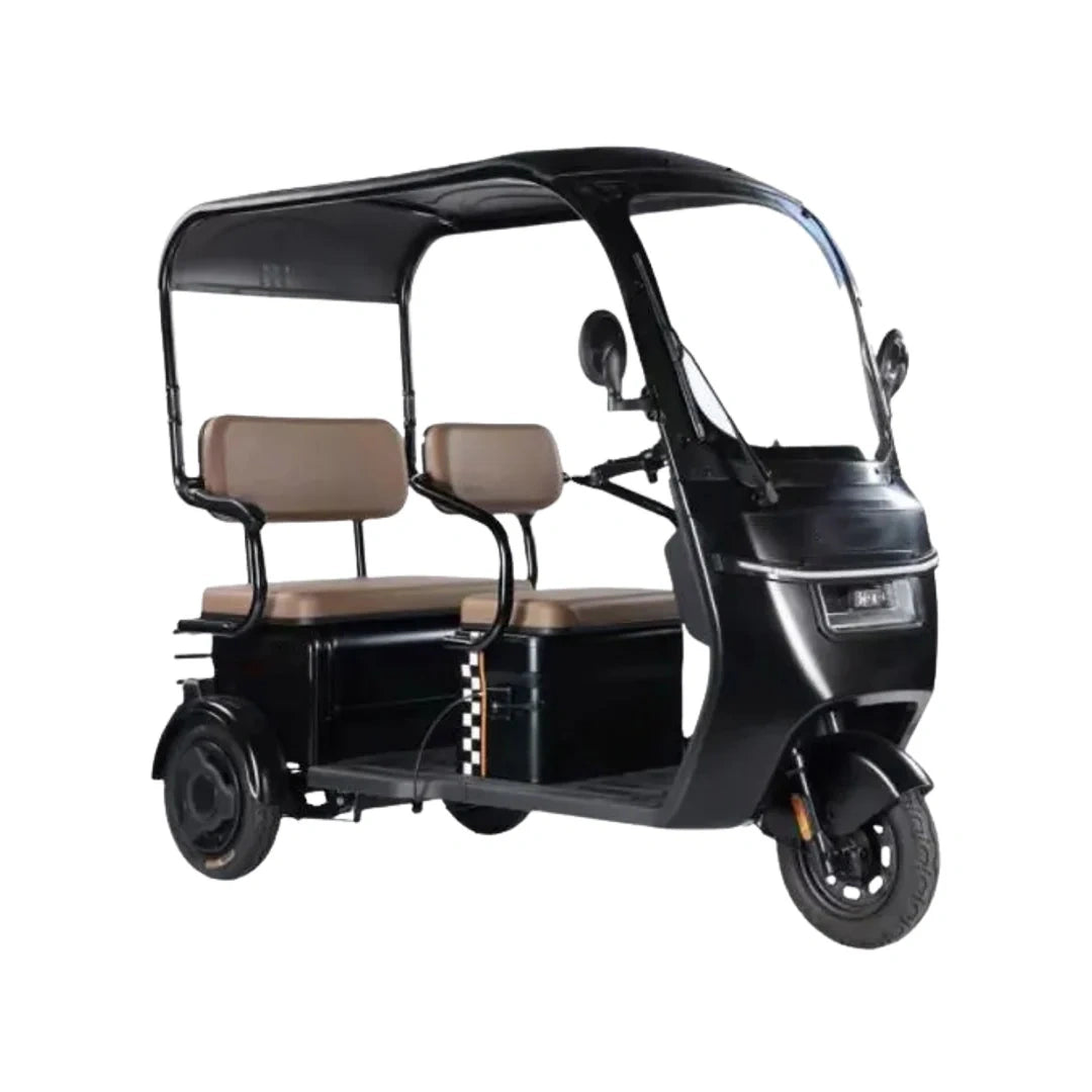 Enclosed 3-Passenger Electric Tricycle with Roof and 1500W Motor