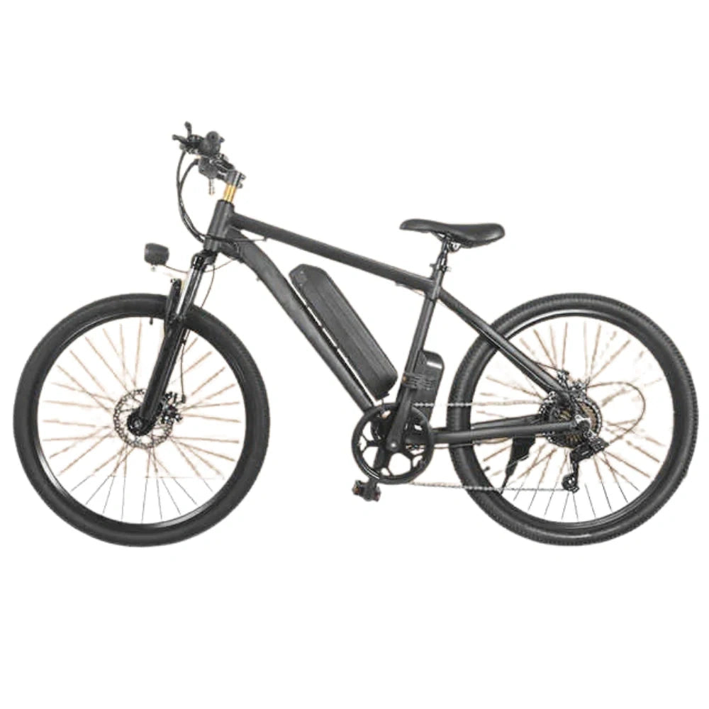 Electric Mountain Bike with 350W Motor and Removable Battery