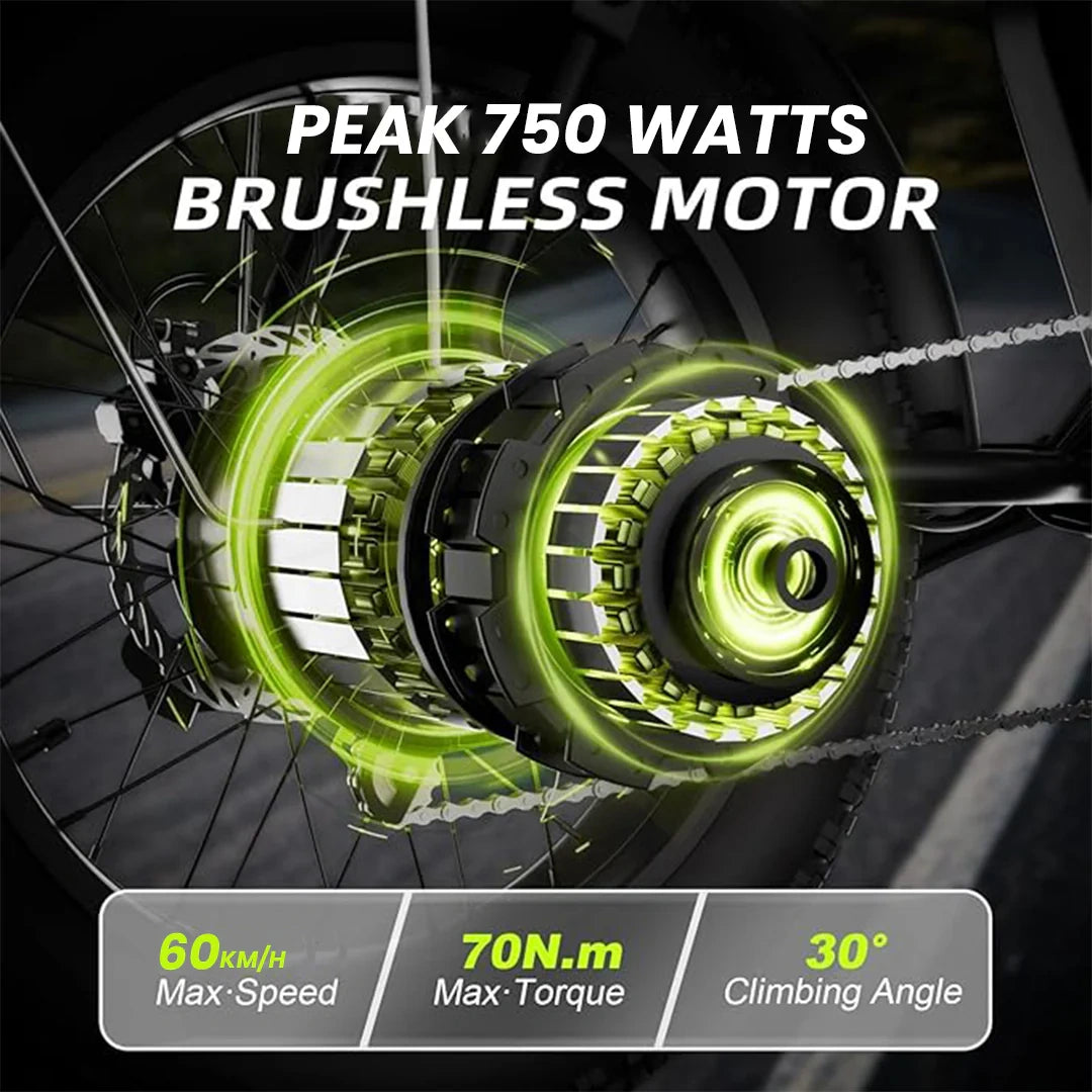 High-Speed Electric Mountain Bike with 750W Motor and 60km/h Speed