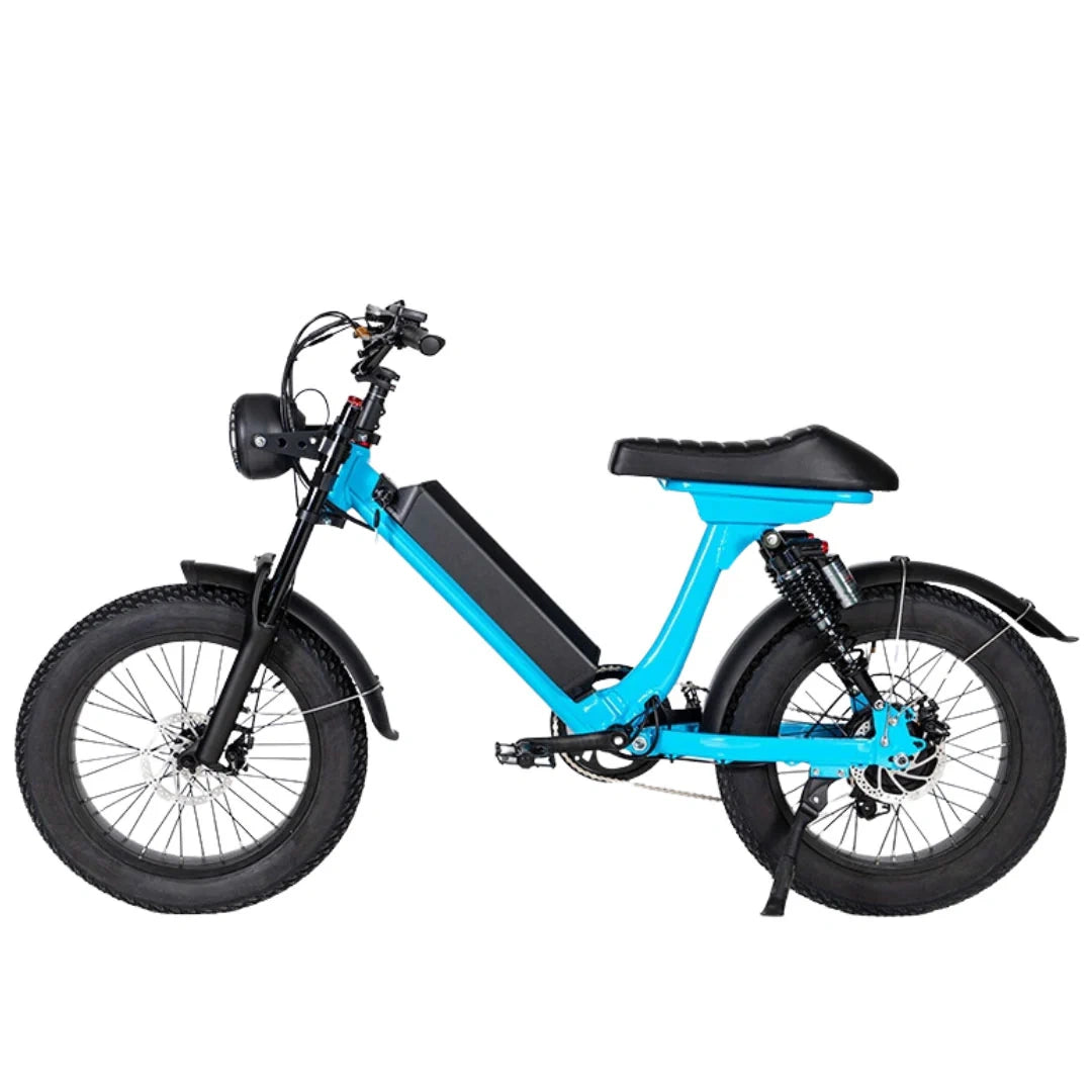 Retro Fat Tire Electric Bike with 500W Motor and 48V Removable Battery
