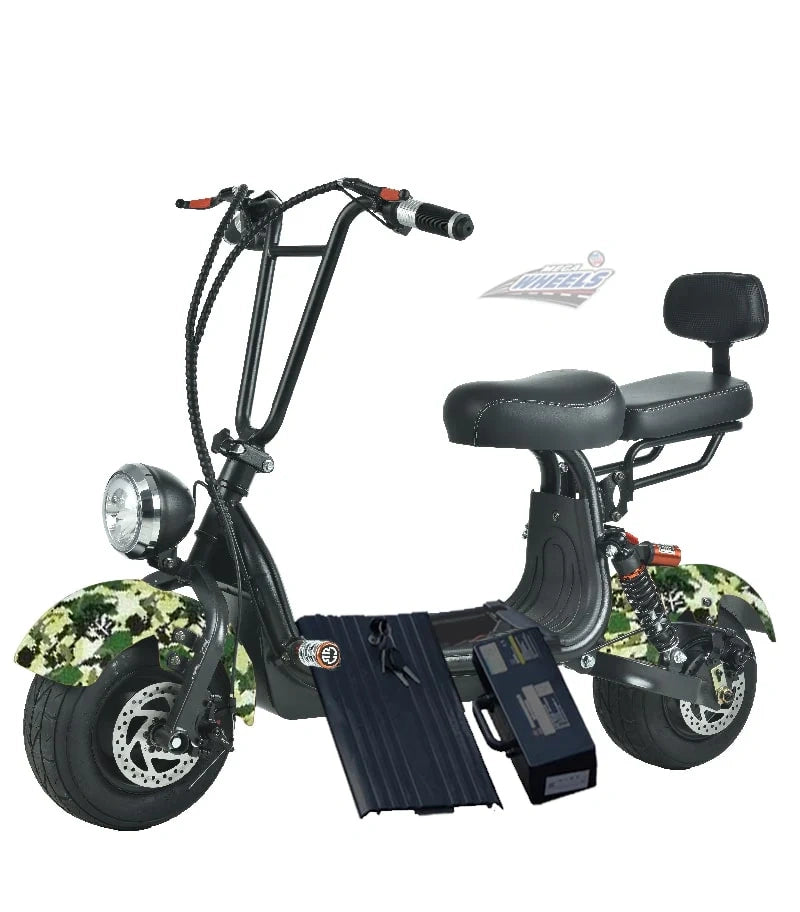 Compact Fat Tyre Electric Scooter with Removable Battery