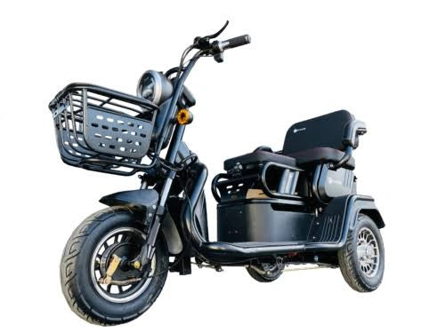 Three-Wheel Electric Scooter with Dual Seats and 500W Motor