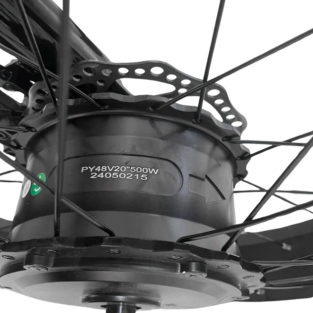 Electric Cargo Trike with Fat Tires and 300kg Load Capacity