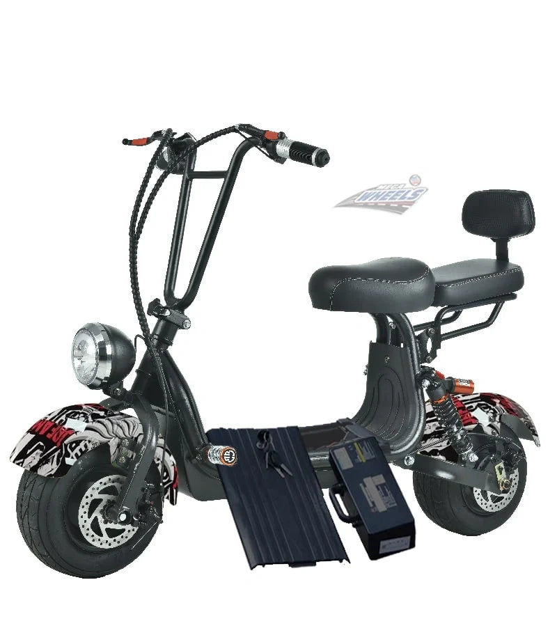Compact Fat Tyre Electric Scooter with Removable Battery