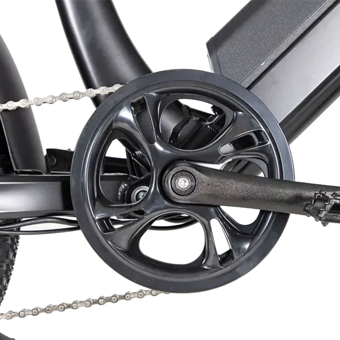 Retro Fat Tire Electric Bike with 500W Motor and 48V Removable Battery