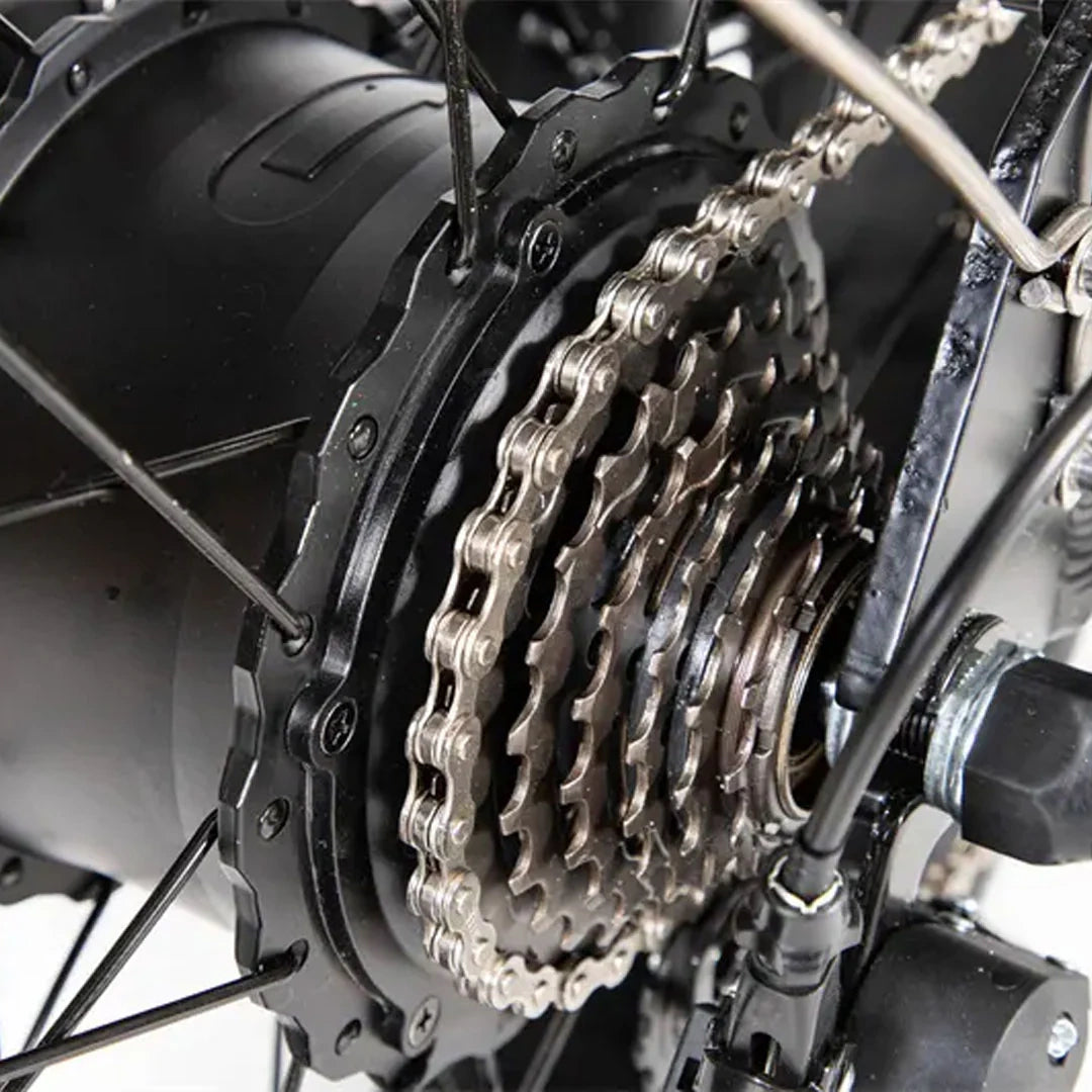 Retro Fat Tire Electric Bike with 500W Motor and 48V Removable Battery