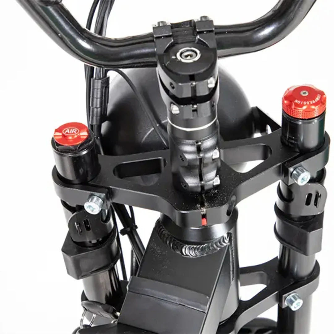 Retro Fat Tire Electric Bike with 500W Motor and 48V Removable Battery