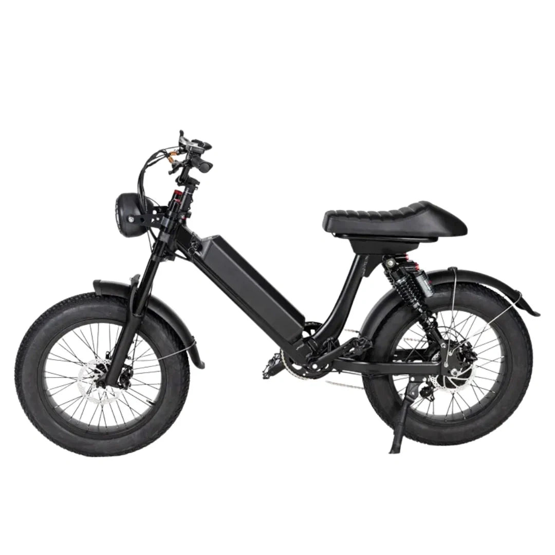 Retro Fat Tire Electric Bike with 500W Motor and 48V Removable Battery