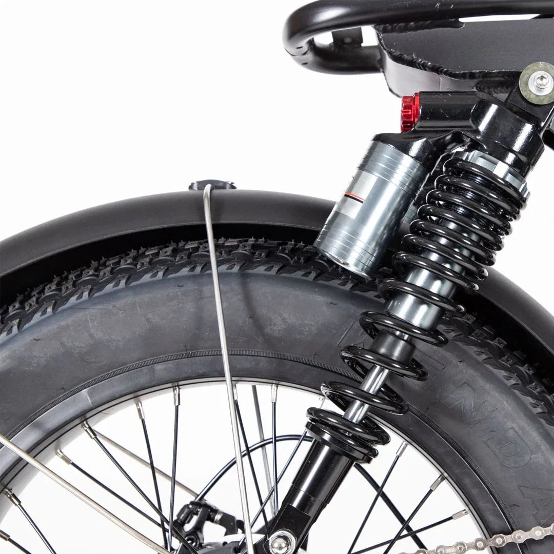 Retro Fat Tire Electric Bike with 500W Motor and 48V Removable Battery