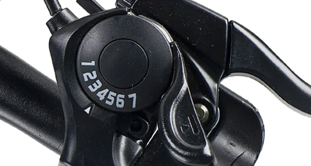 Retro Fat Tire Electric Bike with 500W Motor and 48V Removable Battery