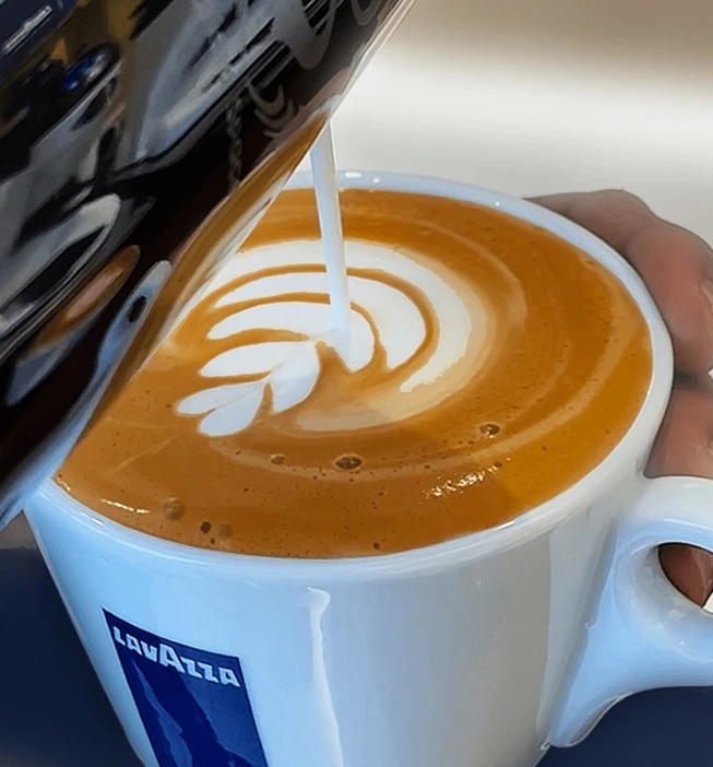 Custom Milk Capsule Coffee Machine, Espresso, Cappuccino Coffee Machine - COOLBABY