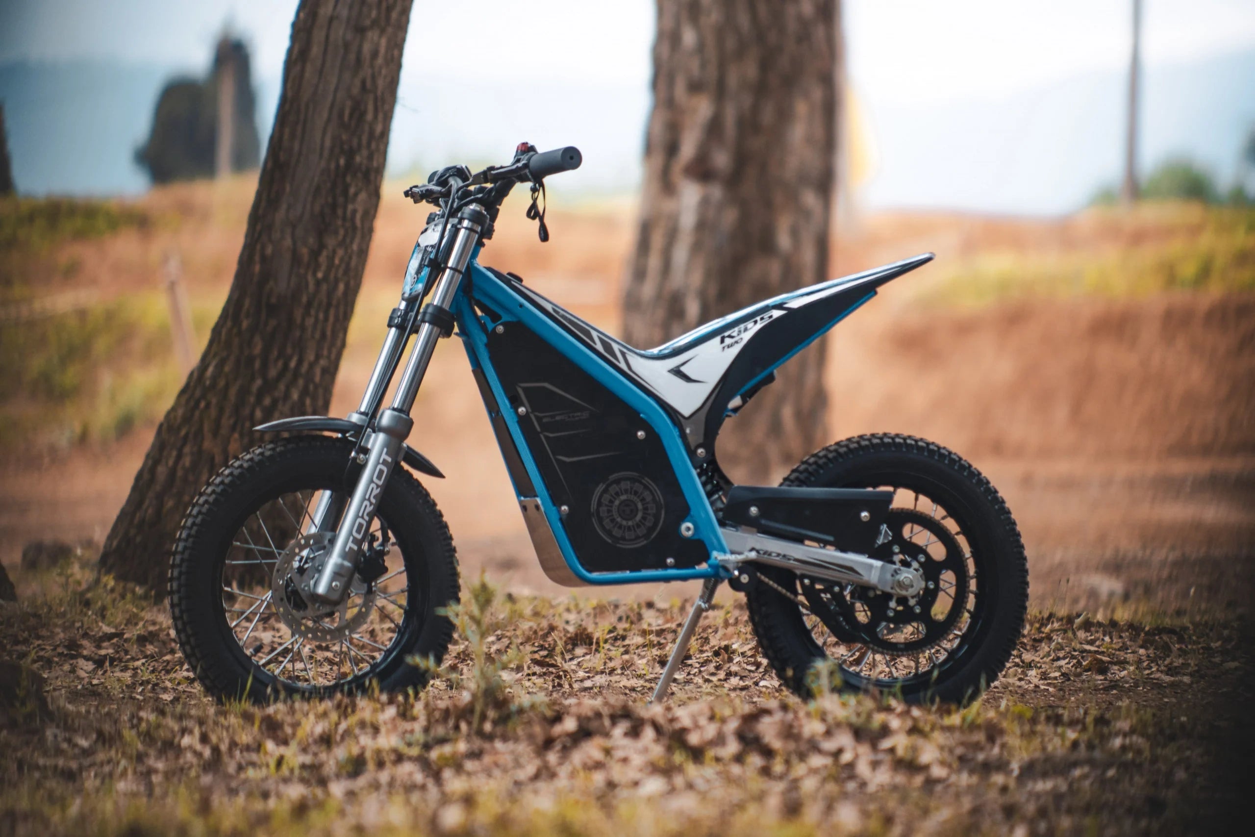Electric bike on a dirt path with trees in the background