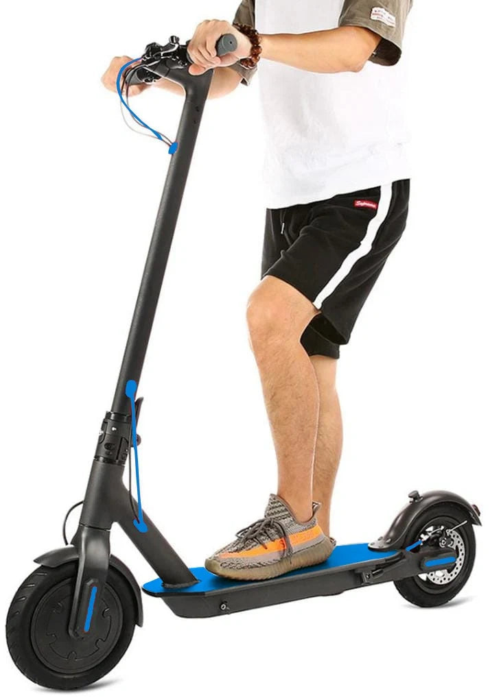 Person riding a black and blue electric scooter on a white background