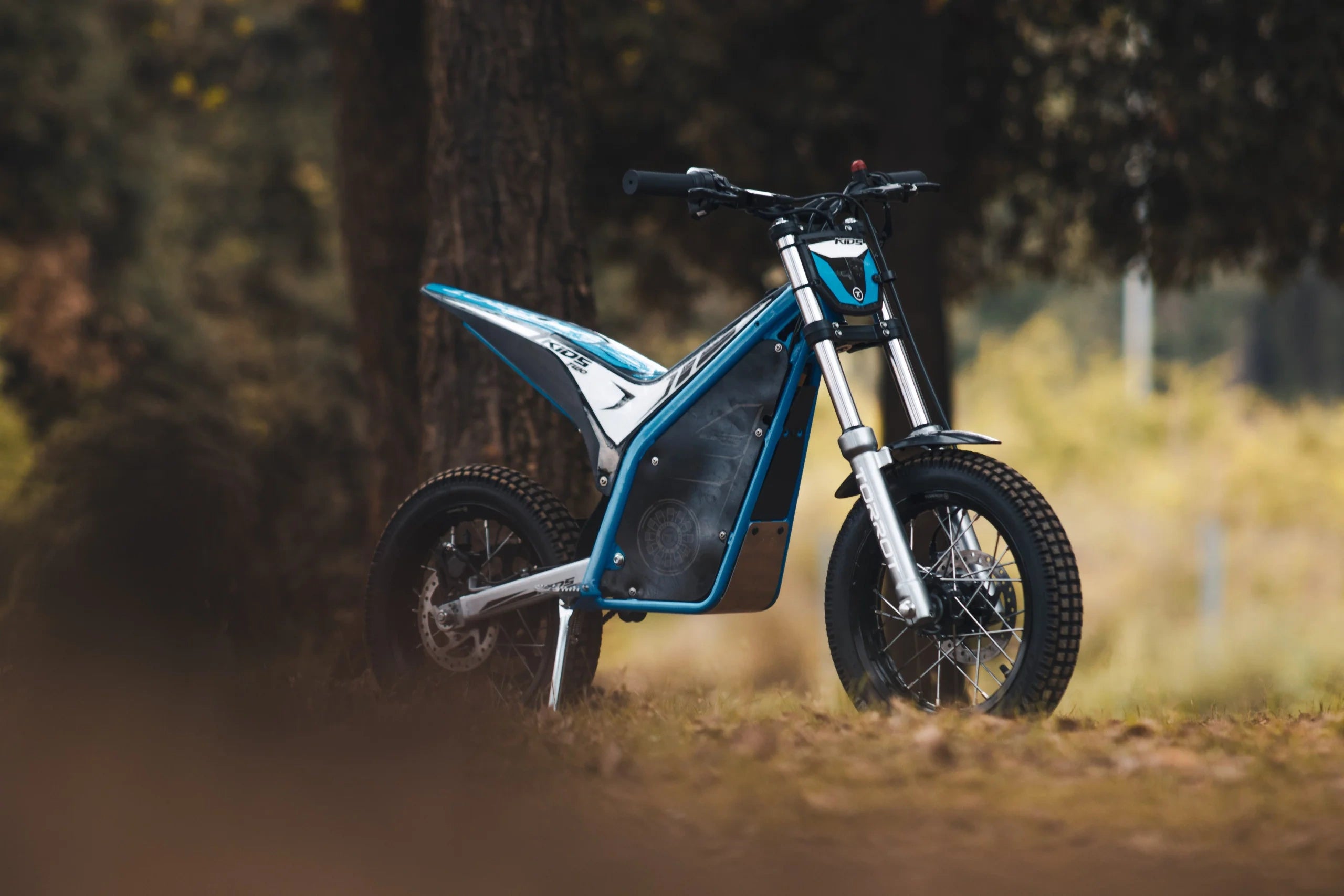 Blue electric bike on a dirt path with trees in the background