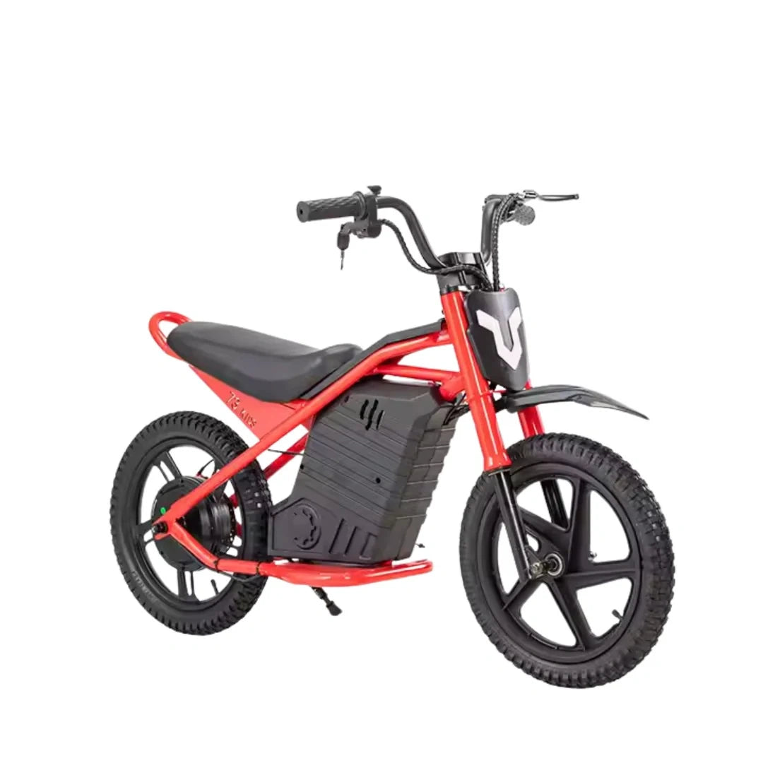Red and black electric bike on a white background
