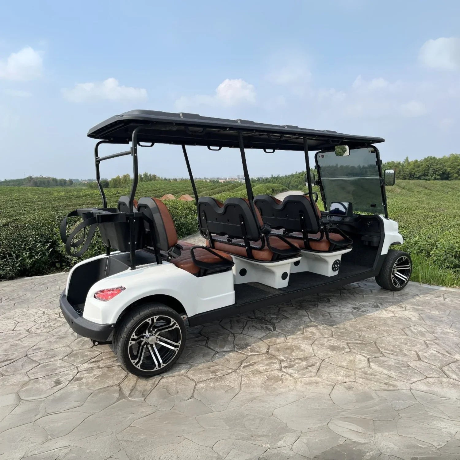 Electric golf cart with brown seats on a stone path with a scenic background