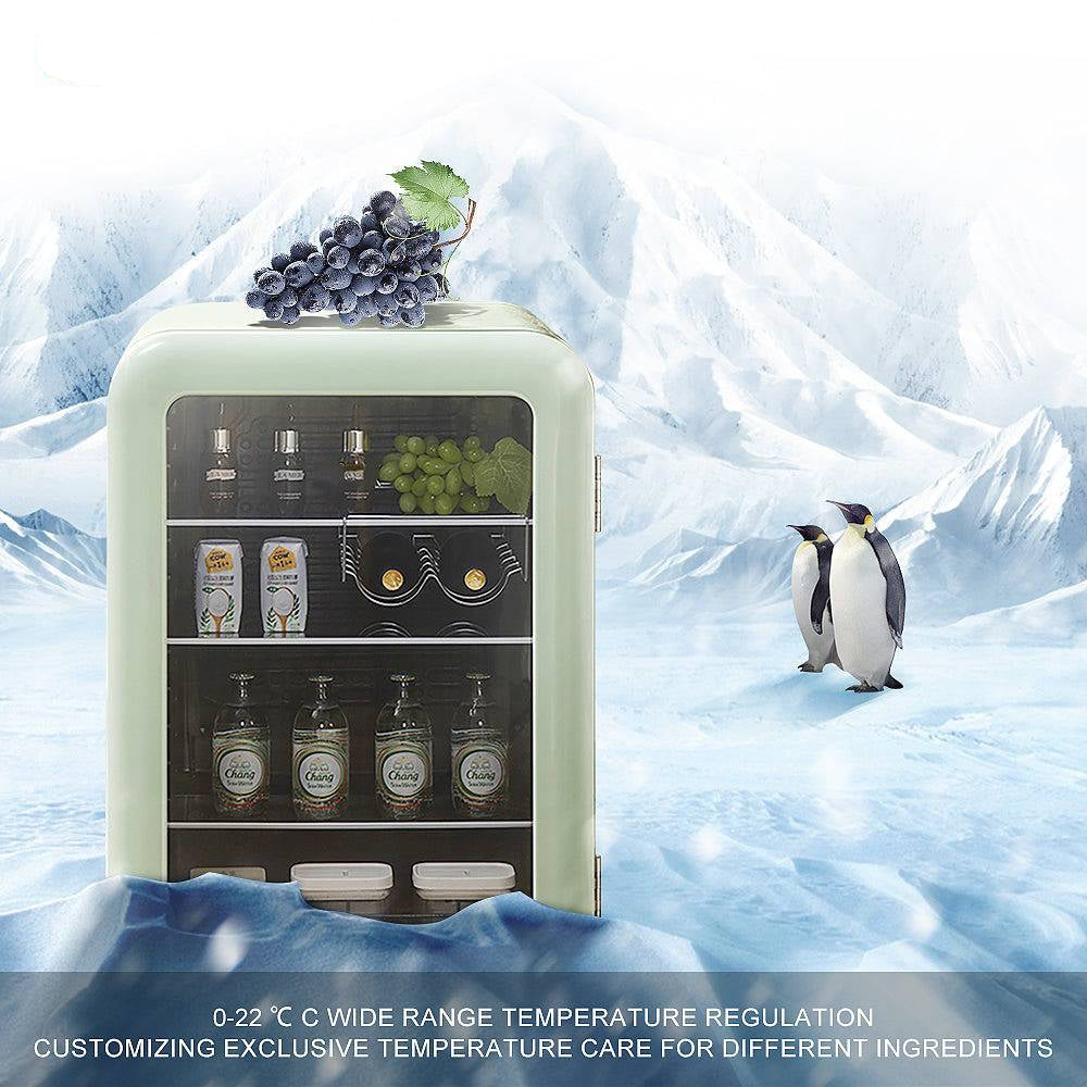 Coolbaby refrigerator with penguins on a snowy background