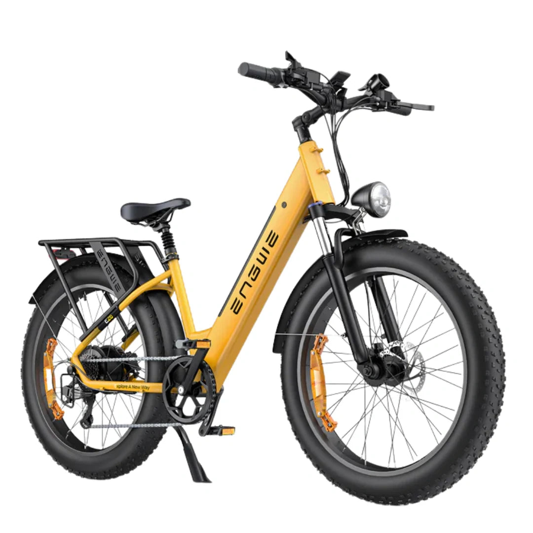 Long-Range Electric Mountain Bike with 250W Motor and 48V 16Ah Battery