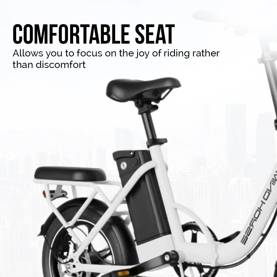 Lightweight Folding Electric Bike with 350W Motor and 50km Range