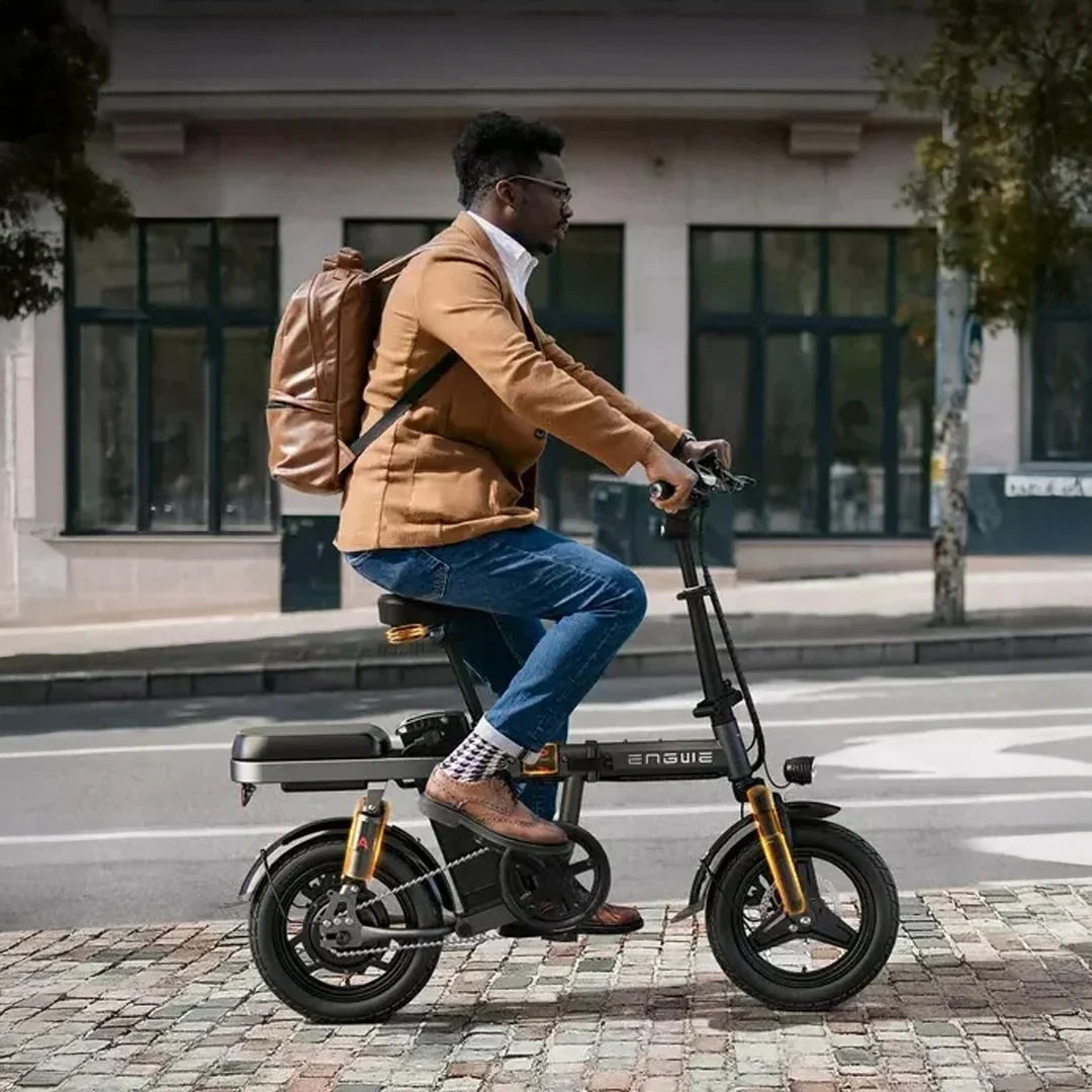 Compact Folding Electric Bike with 250W Motor and 48V 10Ah Battery