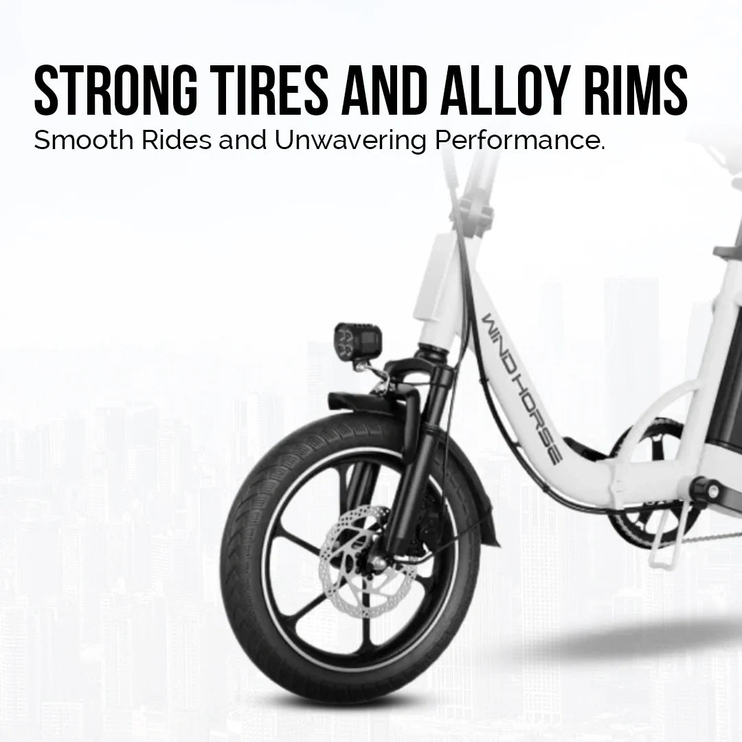 Lightweight Folding Electric Bike with 350W Motor and 50km Range