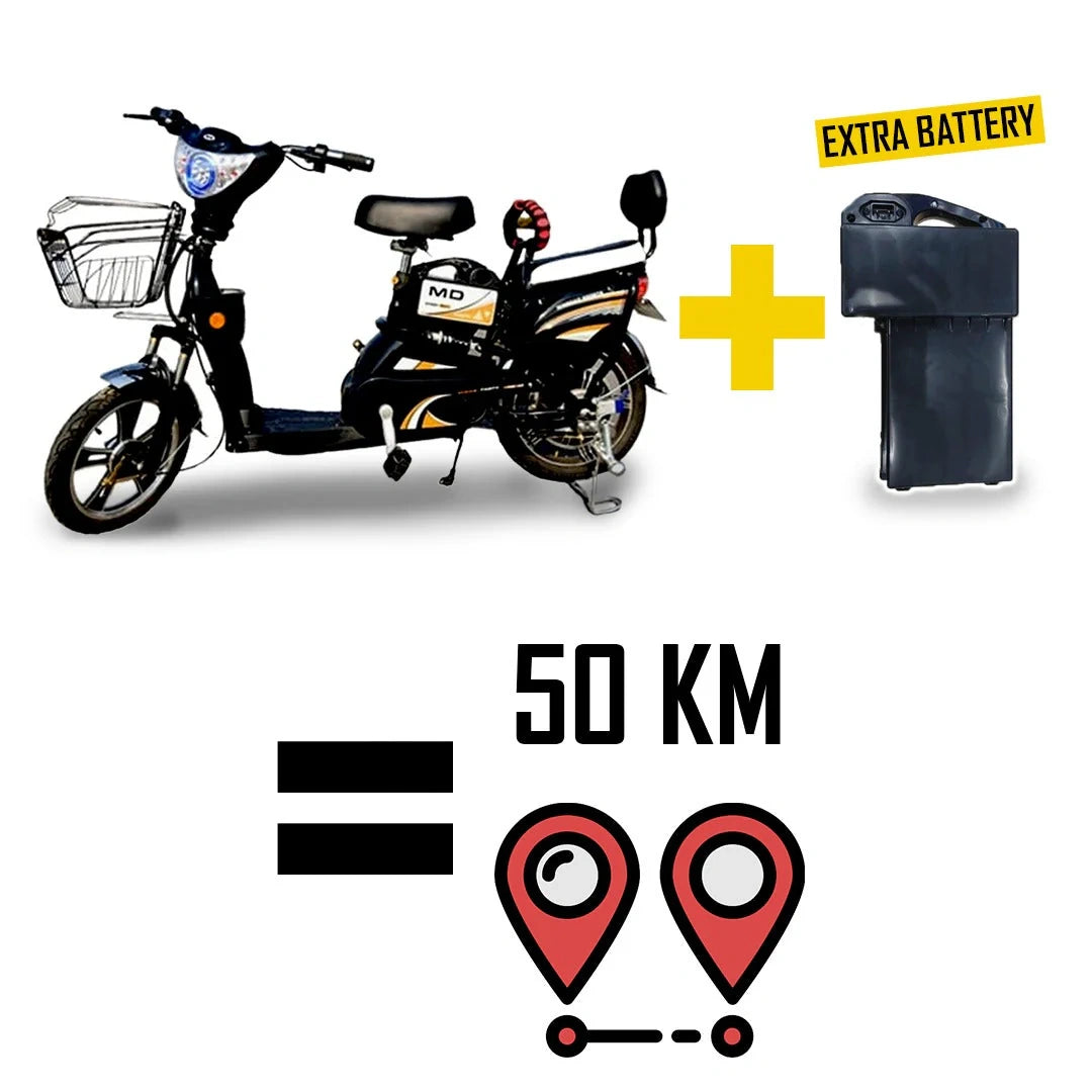 Electric Utility Bike with Dual Seat, Extra Battery and Pedal Assist