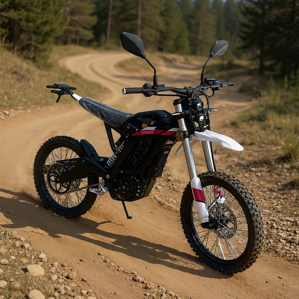 Professional Off-Road Electric Dirt Bike with 8000W Motor and 120km Range