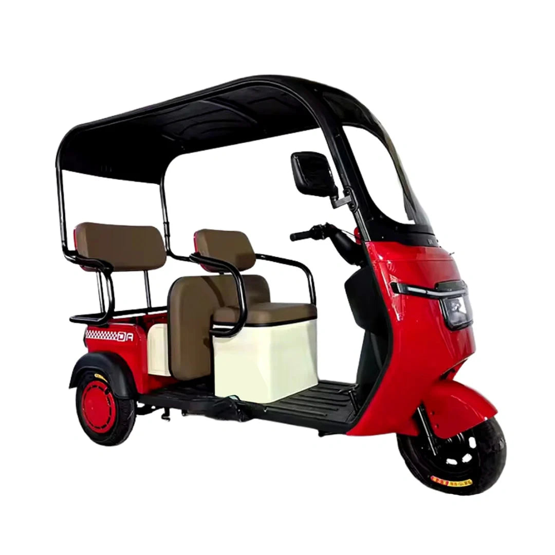 Enclosed 3-Passenger Electric Tricycle with Roof and 1500W Motor