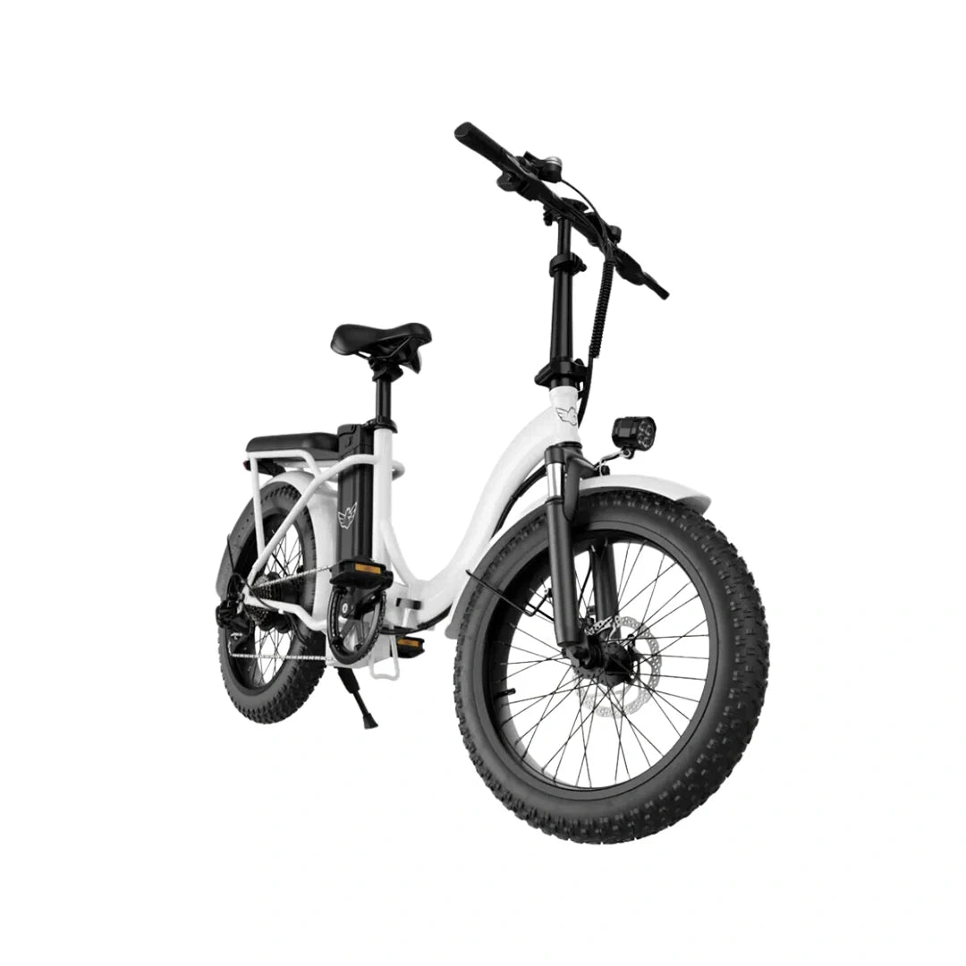 Lightweight Folding Electric Bike with 350W Motor and 50km Range