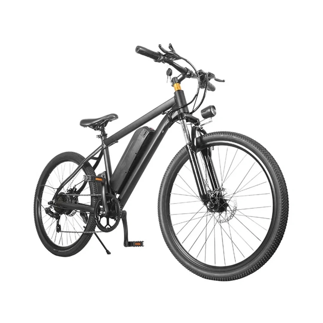 Electric Mountain Bike with 350W Motor and Removable Battery