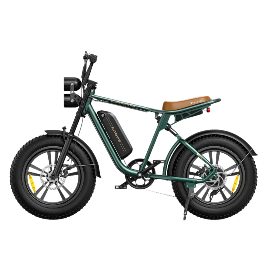 Fat Tire Electric Bike with 750W Motor, Long-Range, and 7-Speed Gearing